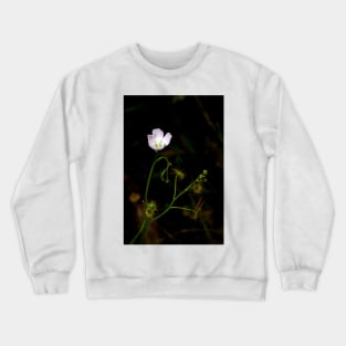 Sundew In Flower Crewneck Sweatshirt